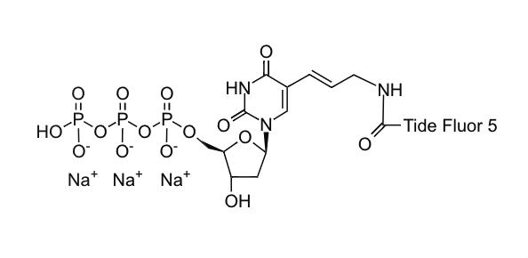 Part of the image is appearing and reappearing to illustrate an animated result.